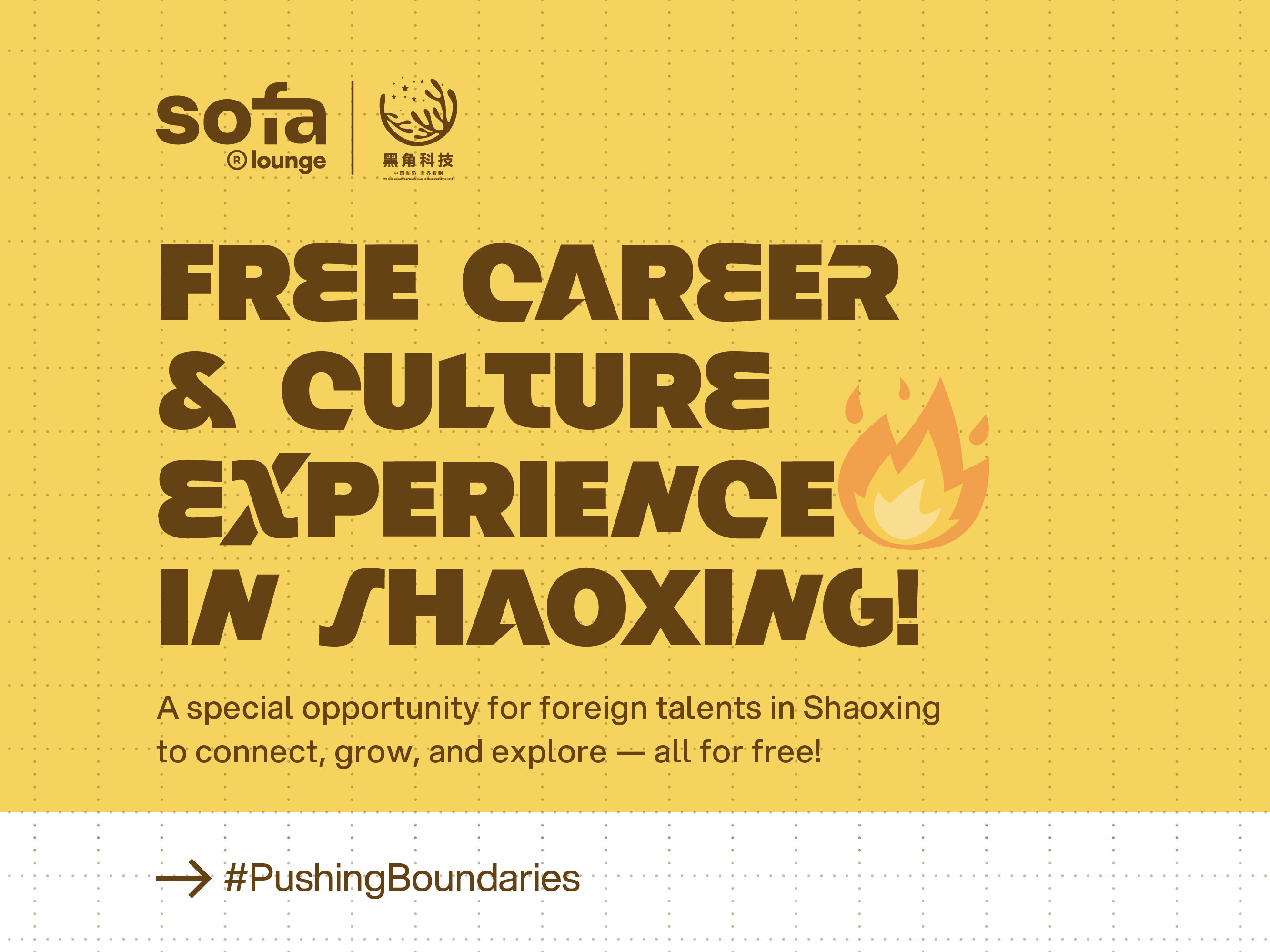 Career & Culture Experience