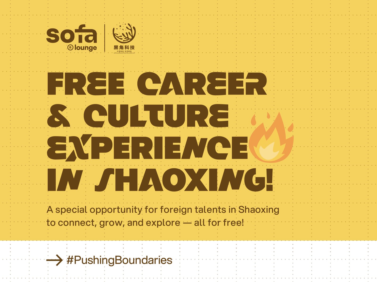 Career & Culture Experience